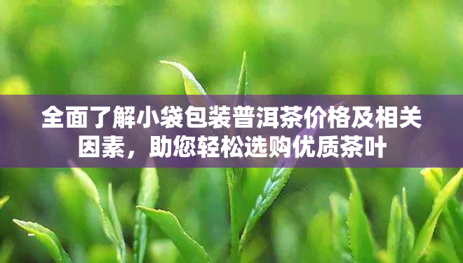 全面了解小袋包装普洱茶价格及相关因素，助您轻松选购优质茶叶