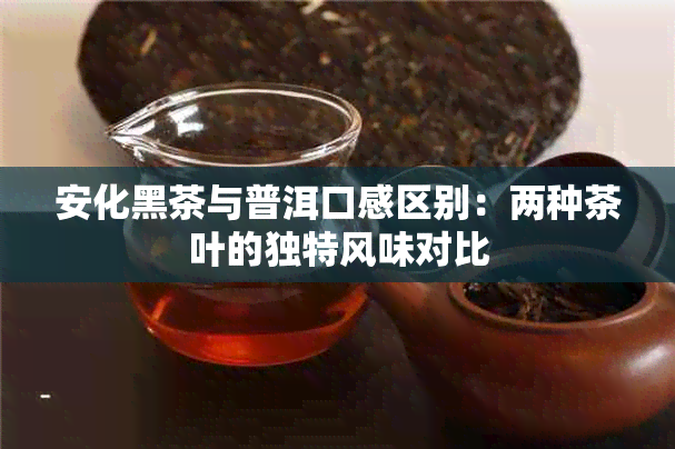 安化黑茶与普洱口感区别：两种茶叶的独特风味对比