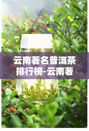 云南著名普洱茶排行榜-云南著名普洱茶排行榜前十名