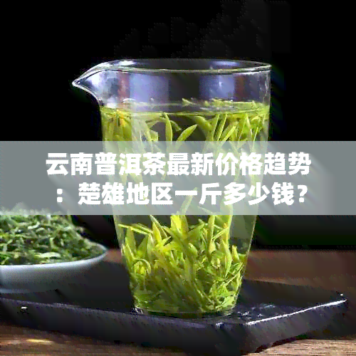 云南普洱茶最新价格趋势：楚雄地区一斤多少钱？