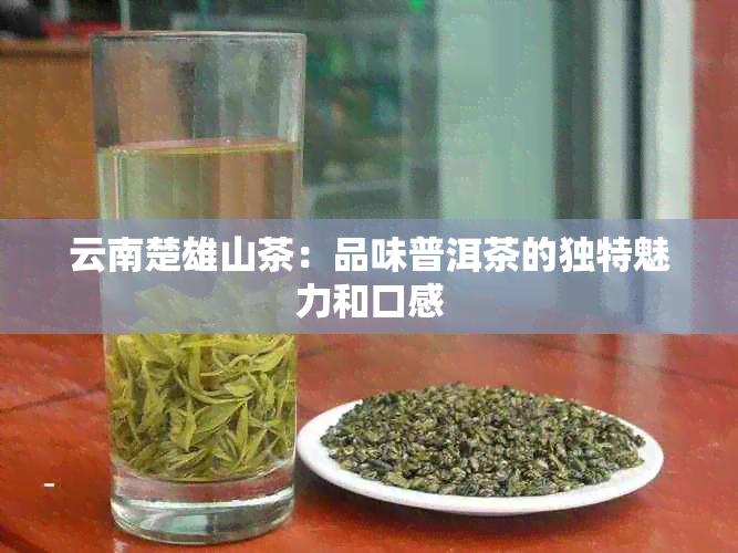 云南楚雄山茶：品味普洱茶的独特魅力和口感