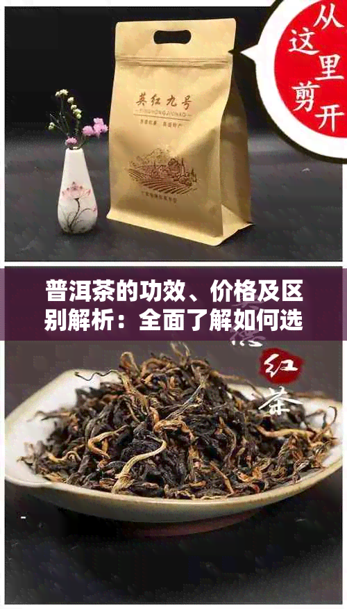 普洱茶的功效、价格及区别解析：全面了解如何选择合适的普洱茶