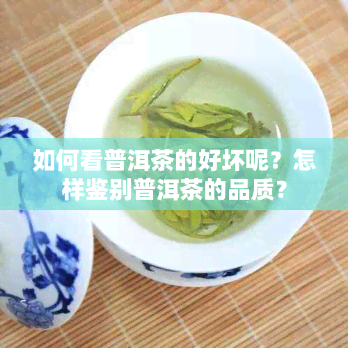 如何看普洱茶的好坏呢？怎样鉴别普洱茶的品质？