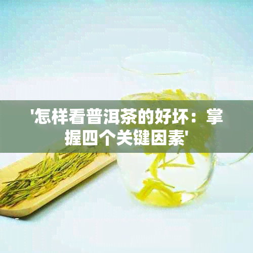 '怎样看普洱茶的好坏：掌握四个关键因素'