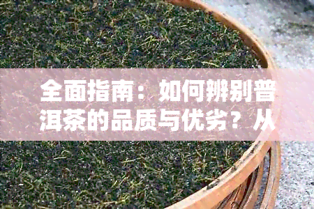 全面指南：如何辨别普洱茶的品质与优劣？从原料到工艺，一文解析！