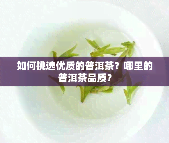 如何挑选优质的普洱茶？哪里的普洱茶品质？