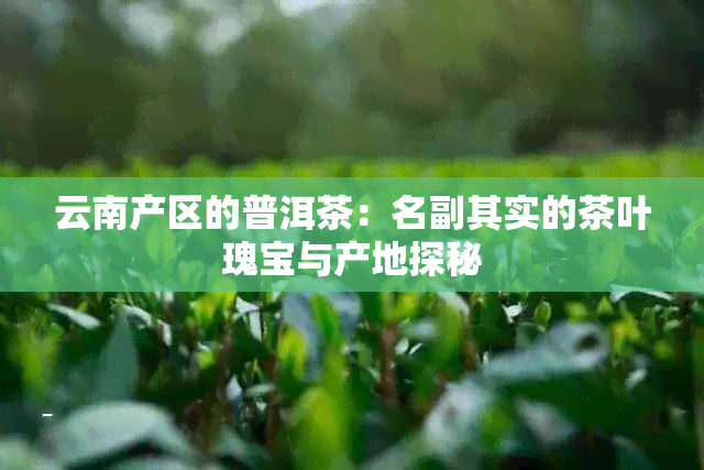 云南产区的普洱茶：名副其实的茶叶瑰宝与产地探秘