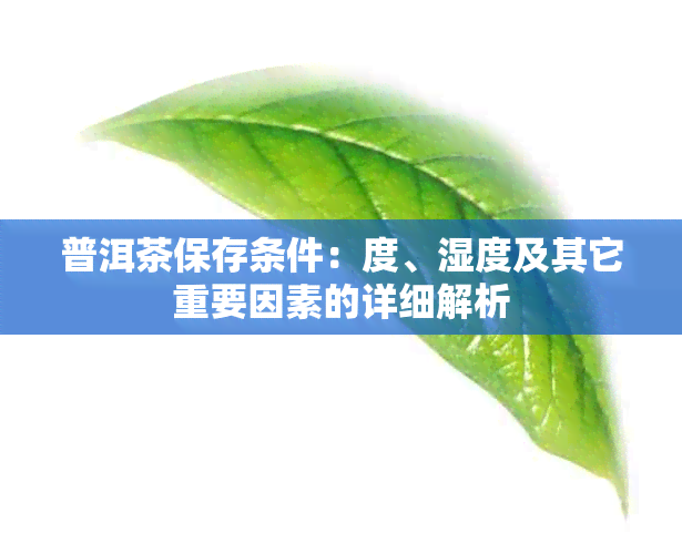 普洱茶保存条件：度、湿度及其它重要因素的详细解析