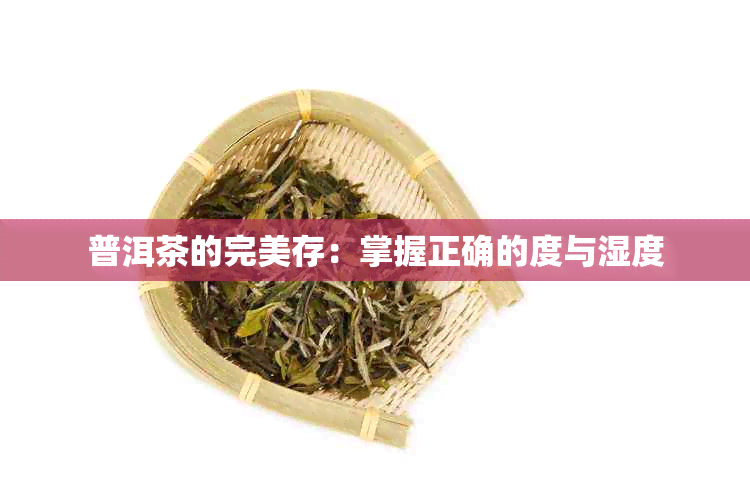 普洱茶的完美存：掌握正确的度与湿度