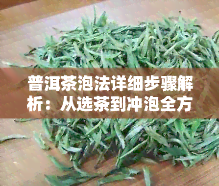 普洱茶泡法详细步骤解析：从选茶到冲泡全方位指导