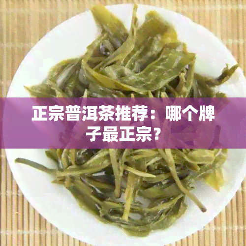 正宗普洱茶推荐：哪个牌子最正宗？