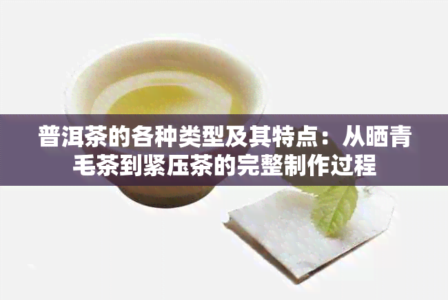 普洱茶的各种类型及其特点：从晒青毛茶到紧压茶的完整制作过程