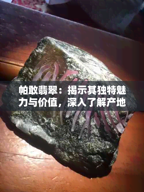 帕敢翡翠：揭示其独特魅力与价值，深入了解产地特点及市场场区分析