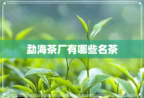 勐海茶厂有哪些名茶