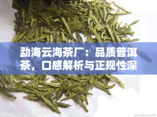 勐海云海茶厂：品质普洱茶，口感解析与正规性深度探讨