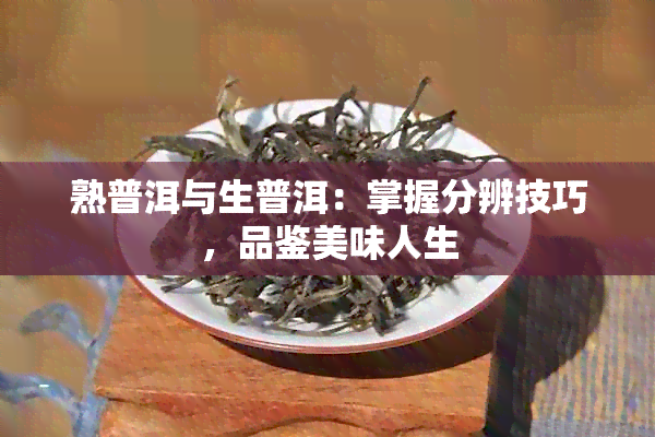 熟普洱与生普洱：掌握分辨技巧，品鉴美味人生