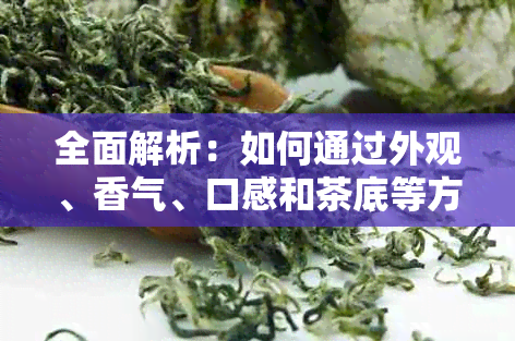 全面解析：如何通过外观、香气、口感和茶底等方面辨别生熟普洱茶的品质？