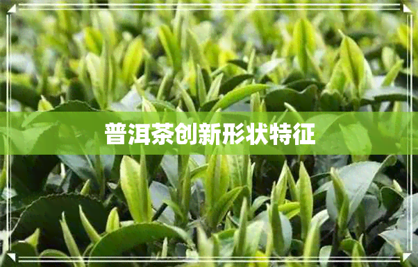 普洱茶创新形状特征