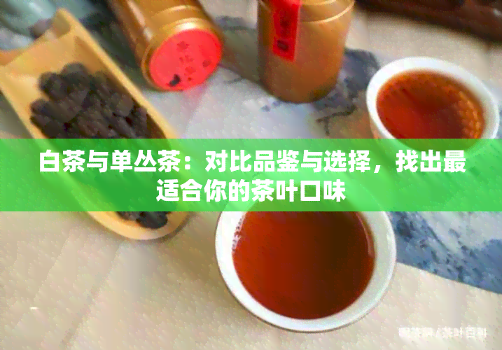 白茶与单丛茶：对比品鉴与选择，找出最适合你的茶叶口味