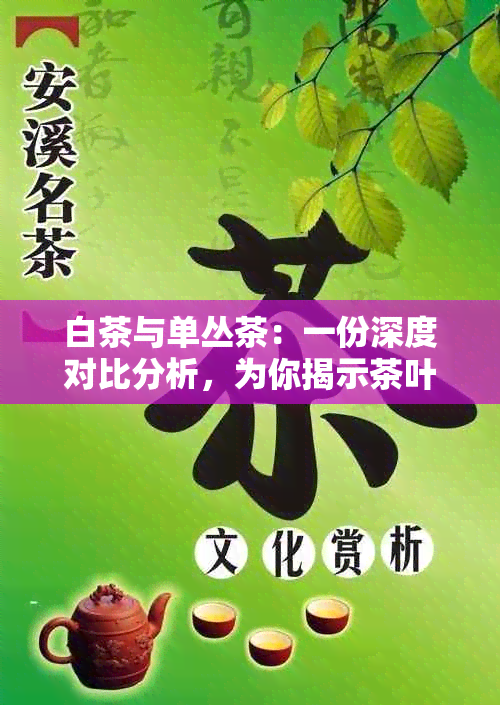 白茶与单丛茶：一份深度对比分析，为你揭示茶叶中的不同风格