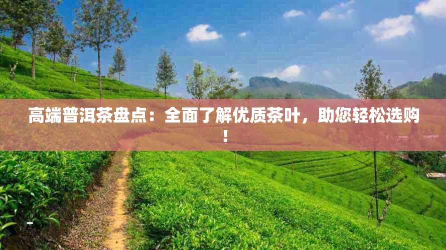 高端普洱茶盘点：全面了解优质茶叶，助您轻松选购！