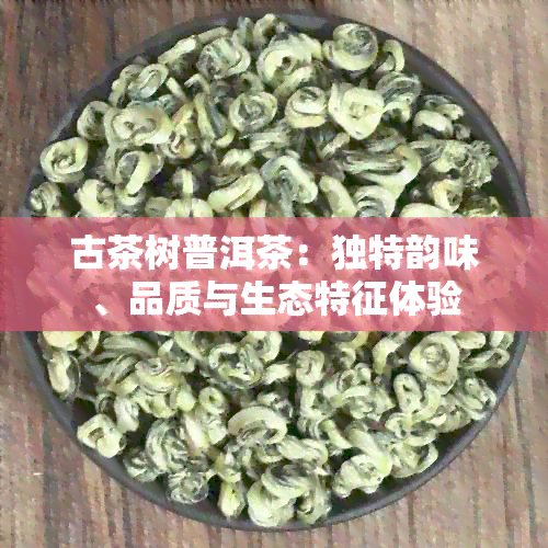 古茶树普洱茶：独特韵味、品质与生态特征体验