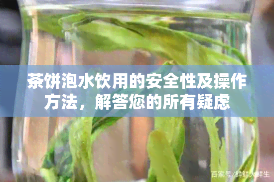 茶饼泡水饮用的安全性及操作方法，解答您的所有疑虑