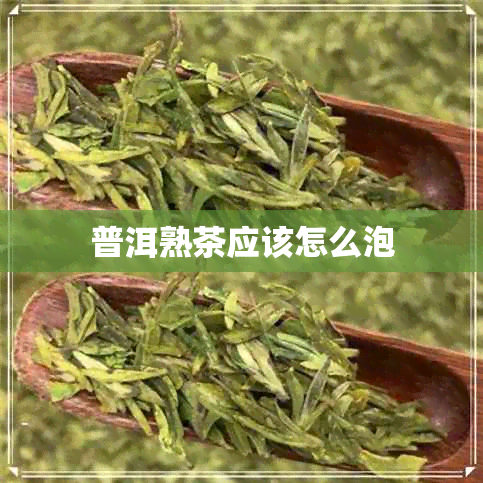 普洱熟茶应该怎么泡