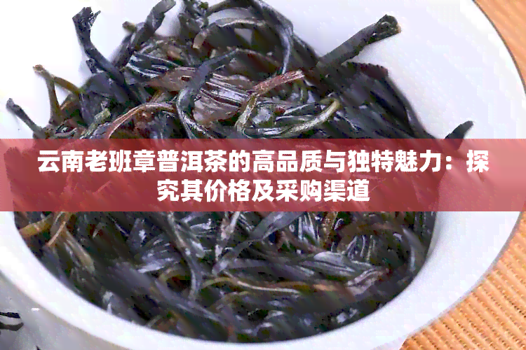 云南老班章普洱茶的高品质与独特魅力：探究其价格及采购渠道