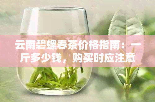 云南碧螺春茶价格指南：一斤多少钱，购买时应注意哪些因素？