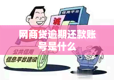 网商贷逾期还款账号是什么