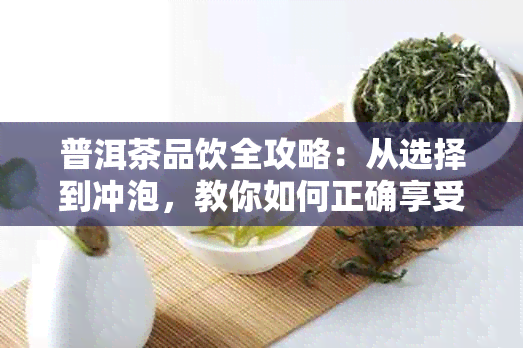 普洱茶品饮全攻略：从选择到冲泡，教你如何正确享受与理解普洱茶