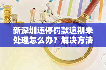 新深圳违停罚款逾期未处理怎么办？解决方法一文解析