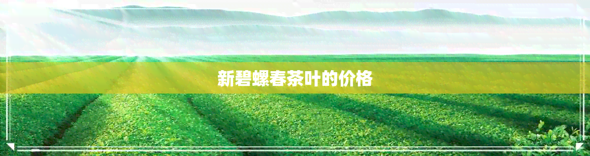 新碧螺春茶叶的价格