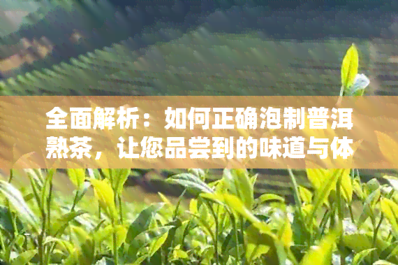 全面解析：如何正确泡制普洱熟茶，让您品尝到的味道与体验