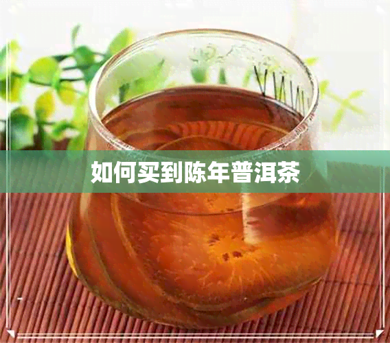 如何买到陈年普洱茶