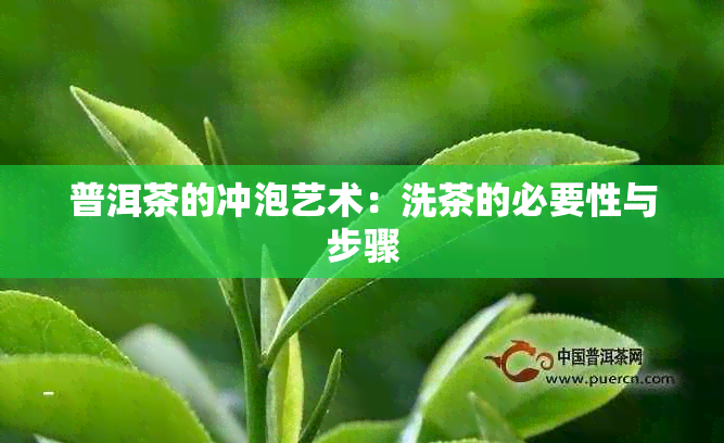 普洱茶的冲泡艺术：洗茶的必要性与步骤