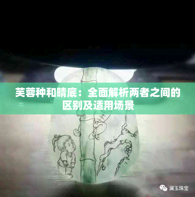 芙蓉种和晴底：全面解析两者之间的区别及适用场景