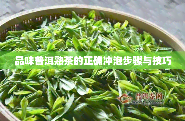 品味普洱熟茶的正确冲泡步骤与技巧