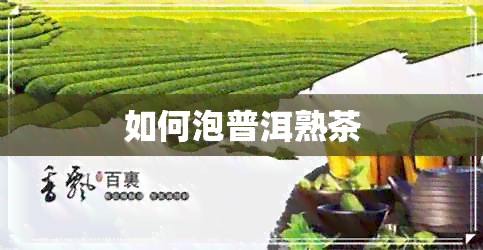 如何泡普洱熟茶