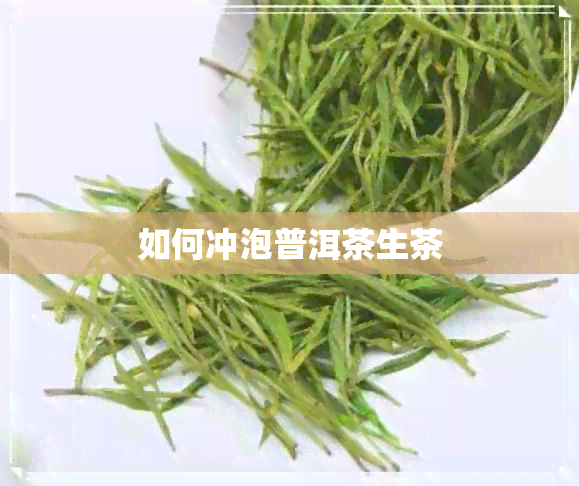 如何冲泡普洱茶生茶