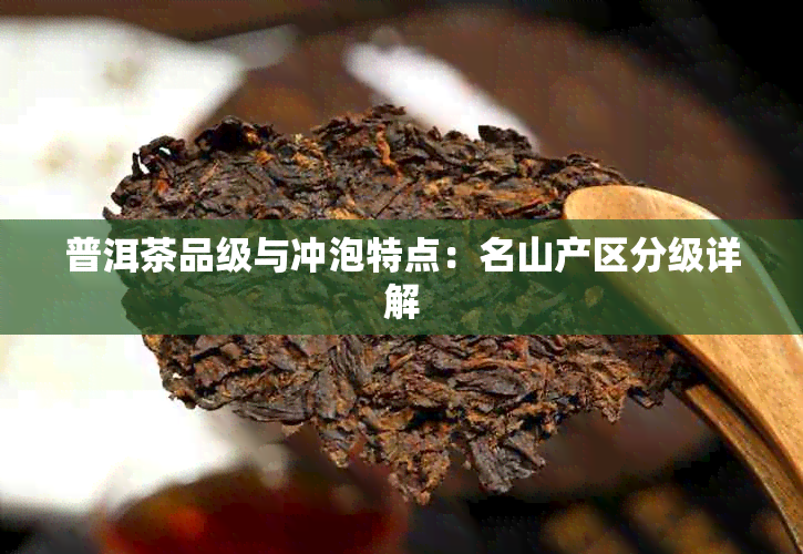 普洱茶品级与冲泡特点：名山产区分级详解