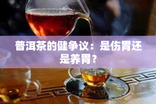 普洱茶的健争议：是伤胃还是养胃？