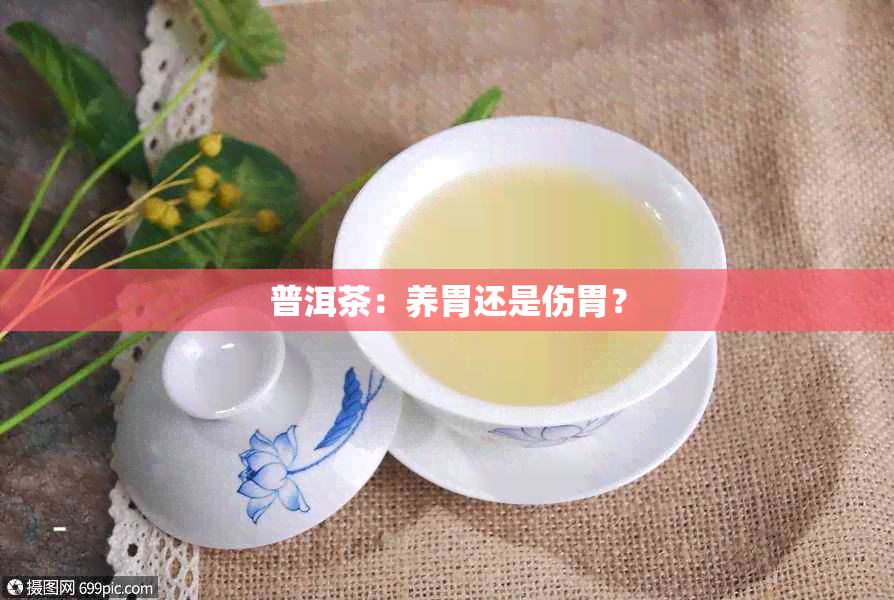 普洱茶：养胃还是伤胃？