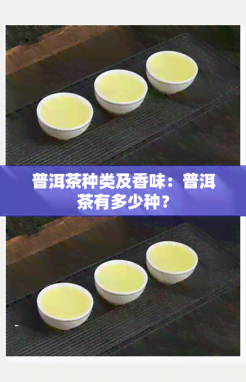 普洱茶种类及香味：普洱茶有多少种？