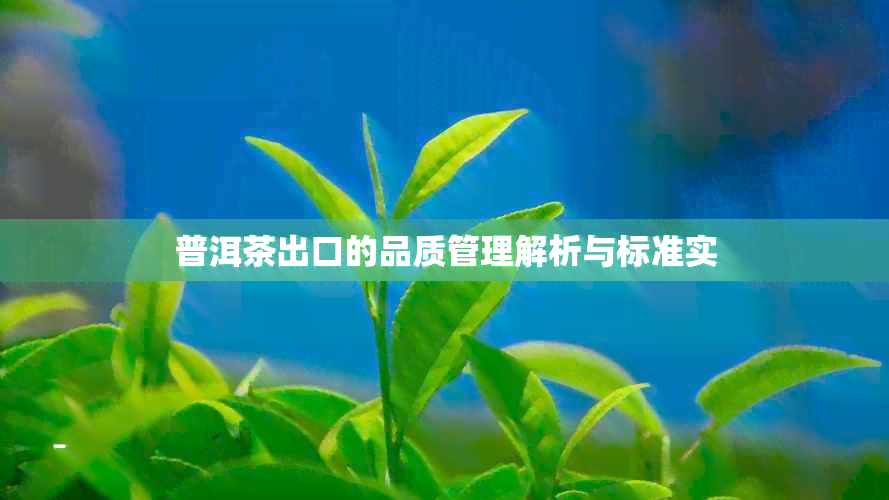 普洱茶出口的品质管理解析与标准实