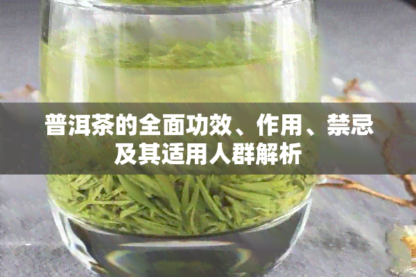 普洱茶的全面功效、作用、禁忌及其适用人群解析