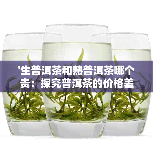 '生普洱茶和熟普洱茶哪个贵：探究普洱茶的价格差异与品质优劣'