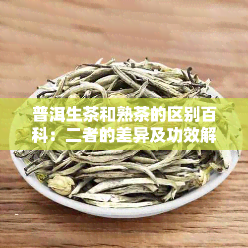 普洱生茶和熟茶的区别百科：二者的差异及功效解析