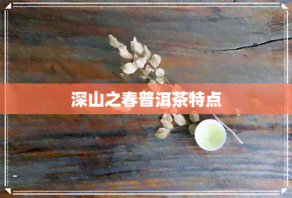 深山之春普洱茶特点